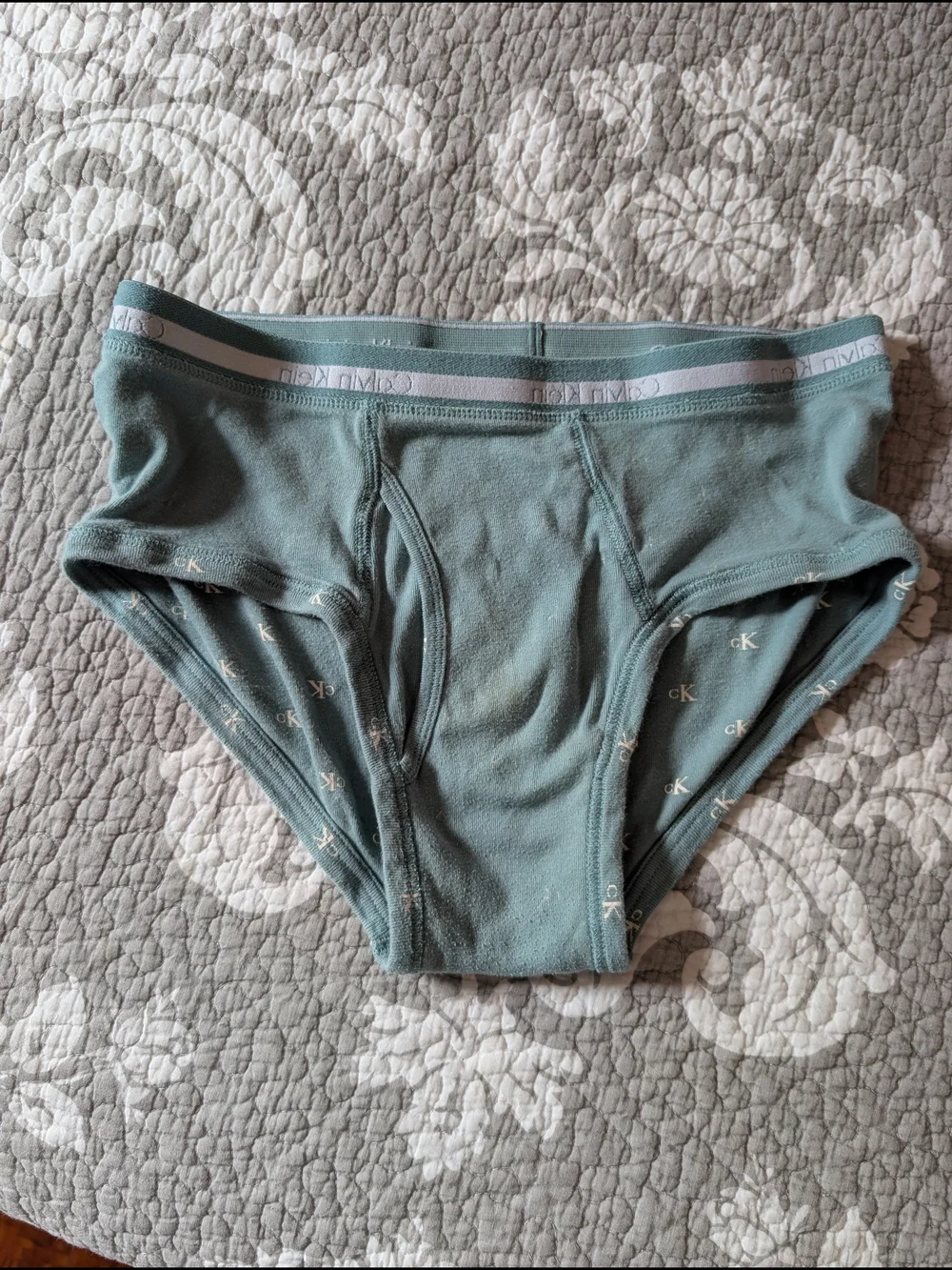 Calvin Klein Men’s Light Teal Logo Briefs